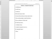 69 Free Printable 3 Year Audit Plan Template for 3 Year Audit Plan Template