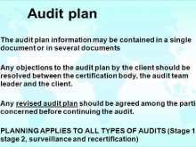 71 Online Audit Plan Form Template For Free by Audit Plan Form Template