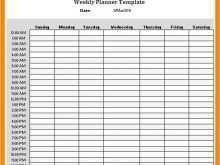 24 Hour Daily Agenda Template