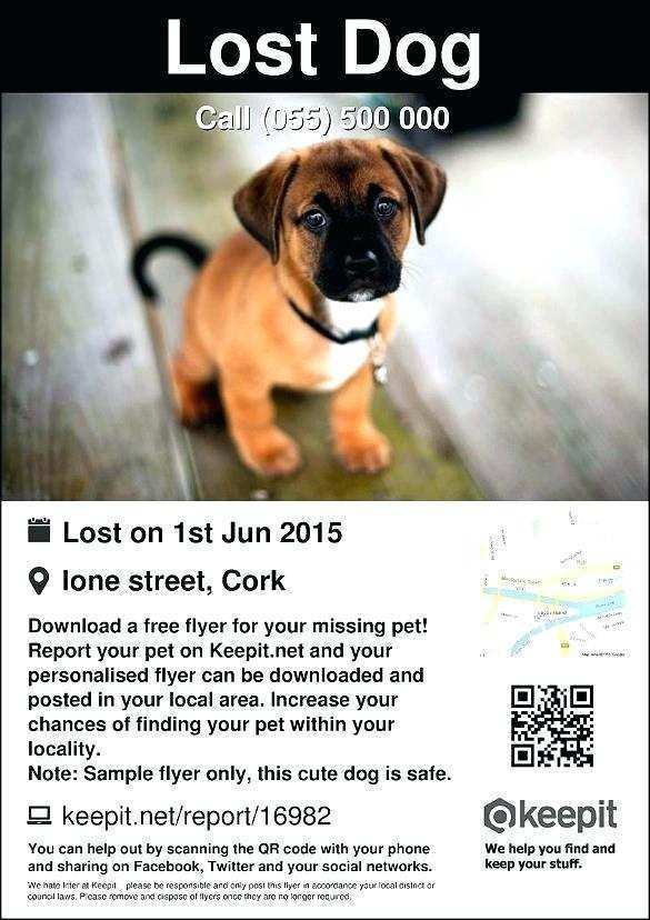 72 The Best Lost Dog Flyer Template Download with Lost Dog Flyer Template