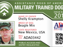 73 Visiting Us Army Id Card Template Now with Us Army Id Card Template