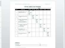 74 Customize Annual Audit Plan Template Excel in Photoshop by Annual Audit Plan Template Excel