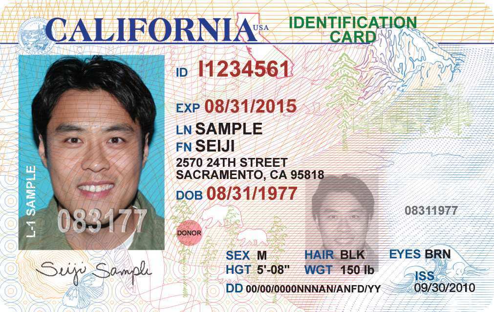 76 The Best Drivers License Id Card Template by Drivers License Id Card