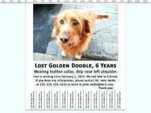 77 Customize Missing Dog Flyer Template Templates for Missing Dog Flyer Template