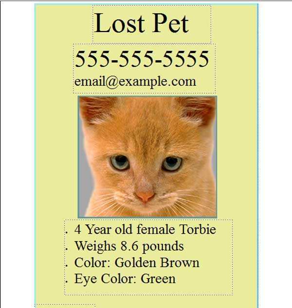 79 How To Create Lost Cat Flyer Template PSD File by Lost Cat Flyer Template