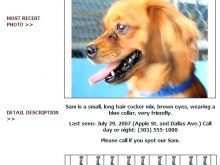 80 Free Dog Adoption Flyer Template Maker by Dog Adoption Flyer Template