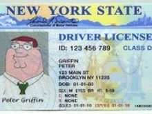 81 Customize New York Id Card Template Now by New York Id Card Template