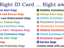 81 Free Autism Id Card Template Download with Autism Id Card Template