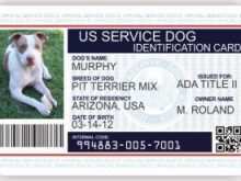 81 Report Free Printable Service Dog Id Card Template Download by Free Printable Service Dog Id Card Template