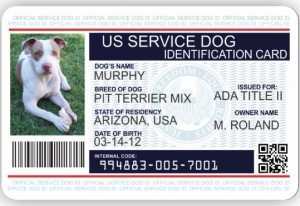 81 Report Free Printable Service Dog Id Card Template Download by Free Printable Service Dog Id Card Template