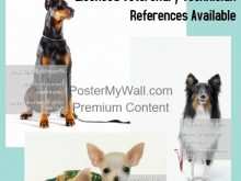 82 Format Dog Walking Flyers Templates Maker by Dog Walking Flyers Templates