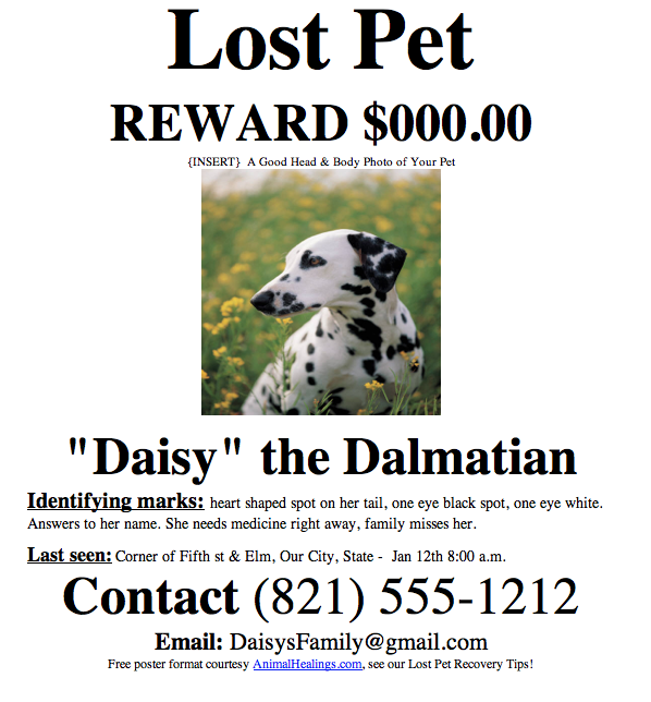 Lost Dog Flyer Template