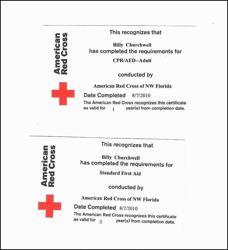 84 Free Printable Cpr Card Template Printable Now For Cpr Card Template Printable Cards Design Templates
