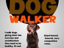 84 Online Dog Walker Flyer Template With Stunning Design by Dog Walker Flyer Template