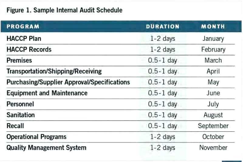 84 Visiting Internal Audit Plan Template Ppt Templates by Internal Audit Plan Template Ppt