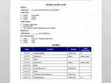86 Blank Audit Plan Template Doc PSD File for Audit Plan Template Doc