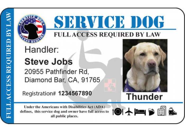 87 The Best Free Printable Service Dog Id Card Template in by