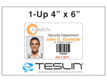 89 How To Create Teslin Id Card Template For Free with Teslin Id Card Template