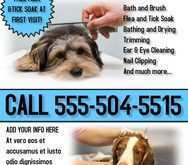 91 Online Dog Grooming Flyers Template For Free by Dog Grooming Flyers Template