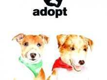 92 Customize Dog Adoption Flyer Template Formating by Dog Adoption Flyer Template