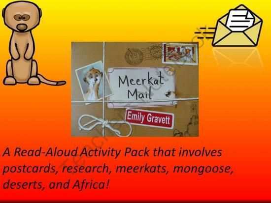 97 Create Postcard Template Meerkat Mail Photo for Postcard Template Meerkat Mail