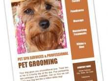 99 Customize Our Free Dog Grooming Flyers Template in Photoshop with Dog Grooming Flyers Template