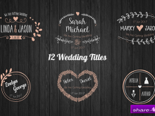 86 The Best Indian Wedding Invitation After Effects Template Maker for Indian Wedding Invitation After Effects Template
