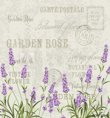 57 The Best Vintage Postcard Background Vector Template For Wedding Invitation PSD File for Vintage Postcard Background Vector Template For Wedding Invitation